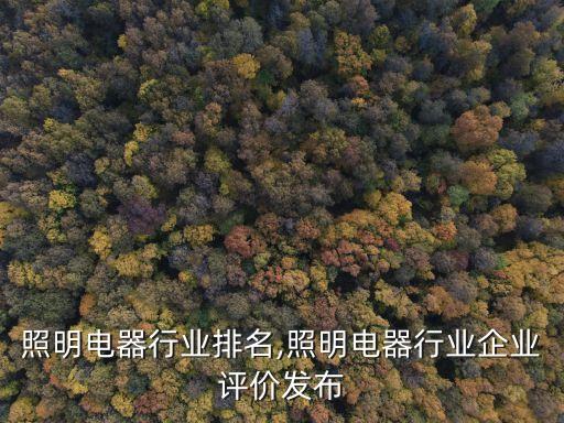 中国照明电器行业排名,照明电器行业企业评价发布