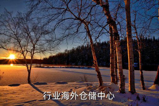 水电行业海外仓储中心