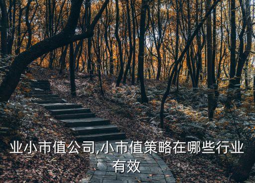业小市值公司,小市值策略在哪些行业有效