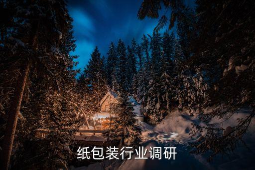 纸包装行业调研