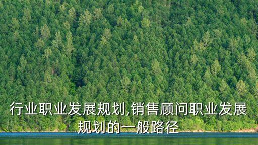 销售行业职业发展规划,销售顾问职业发展规划的一般路径