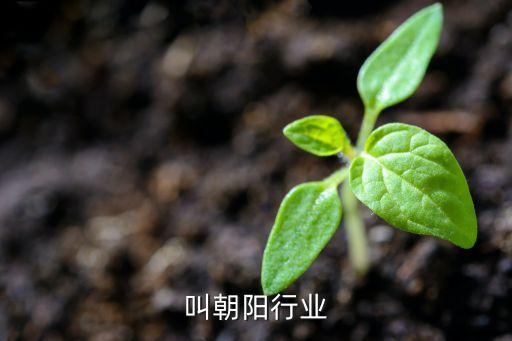 叫朝阳行业