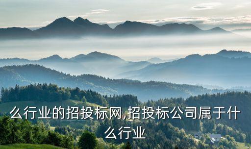 有什么行业的招投标网,招投标公司属于什么行业