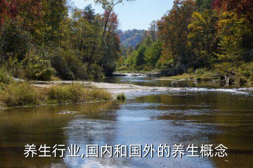 养生行业,国内和国外的养生概念