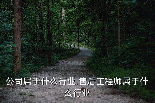 公司属于什么行业,售后工程师属于什么行业