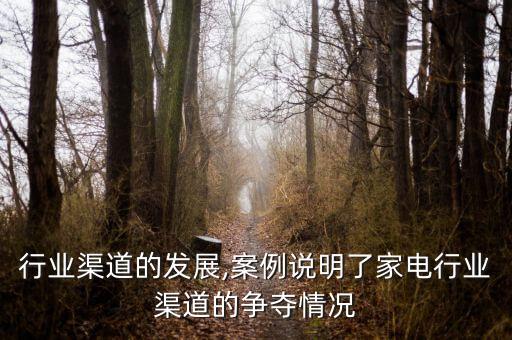 行业渠道的发展,案例说明了家电行业渠道的争夺情况