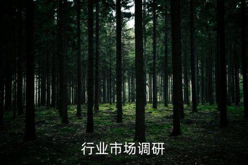 电子行业市场调研