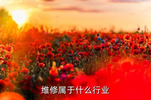 维修属于什么行业