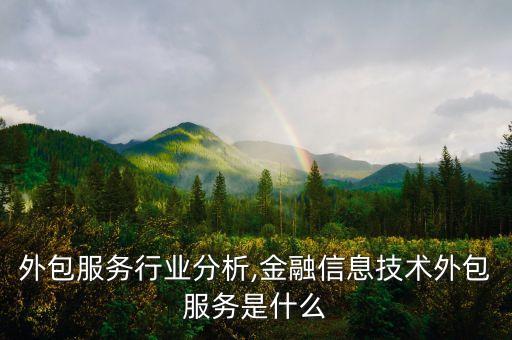 金融外包服务行业分析,金融信息技术外包服务是什么