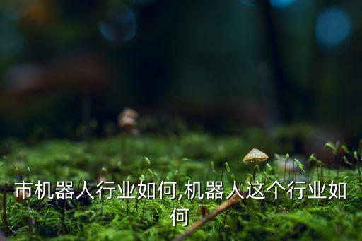 市机器人行业如何,机器人这个行业如何