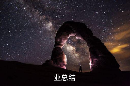 业总结