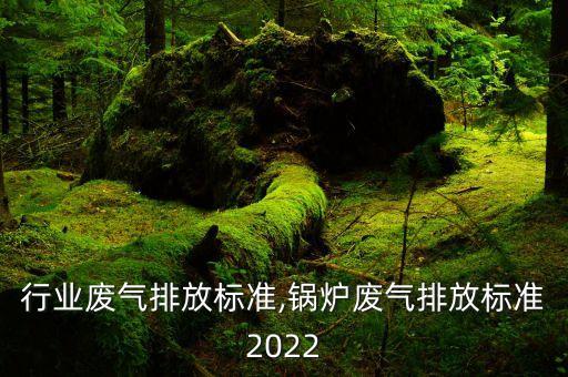 行业废气排放标准,锅炉废气排放标准2022