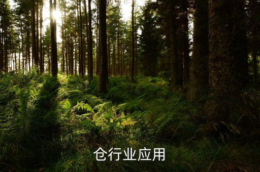 立体仓行业应用