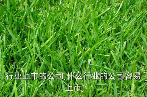 行业上市的公司,什么行业的公司容易上市