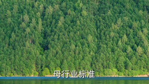 母行业标准