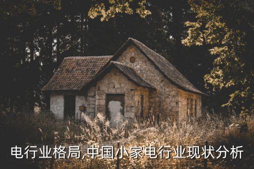 电行业格局,中国小家电行业现状分析