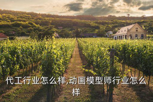模型代工行业怎么样,动画模型师行业怎么样