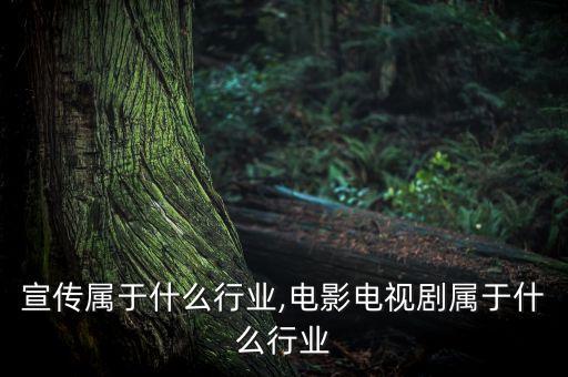 宣传属于什么行业,电影电视剧属于什么行业