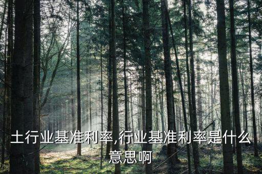 土行业基准利率,行业基准利率是什么意思啊