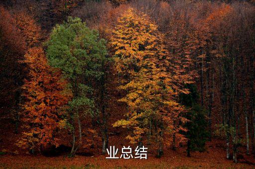 业总结