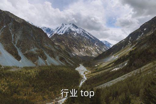 行业 top