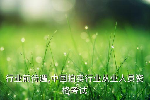 行业前待遇,中国拍卖行业从业人员资格考试