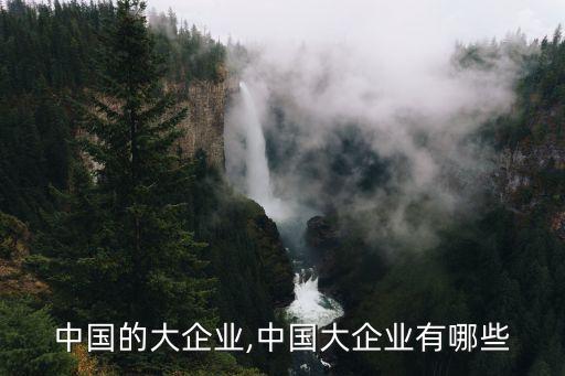 中国的大企业,中国大企业有哪些