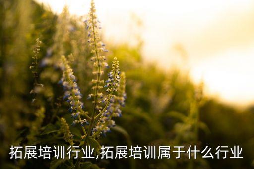 拓展培训行业,拓展培训属于什么行业