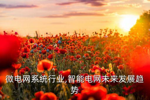 智能微电网系统行业,智能电网未来发展趋势