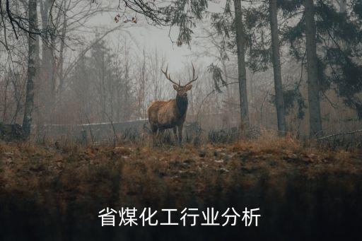 山东省煤化工行业分析