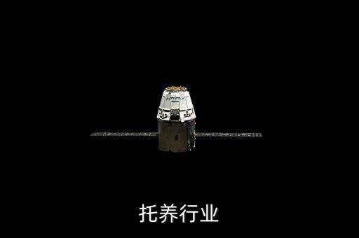 宠物托养行业