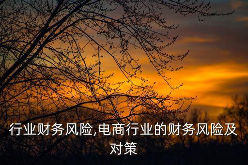 行业财务风险,电商行业的财务风险及对策