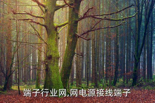 接线端子行业网,网电源接线端子