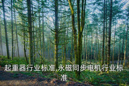 起重器行业标准,永磁同步电机行业标准