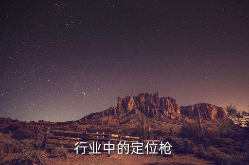行业中的定位枪