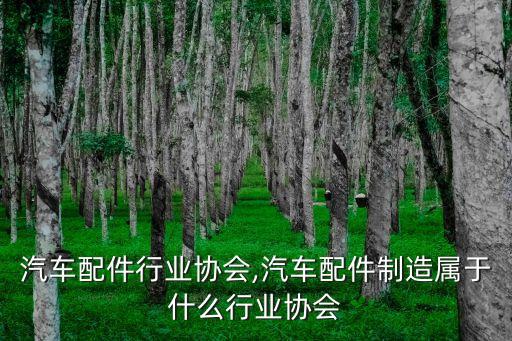 汽车配件行业协会,汽车配件制造属于什么行业协会