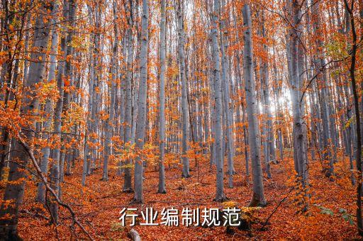 行业编制规范