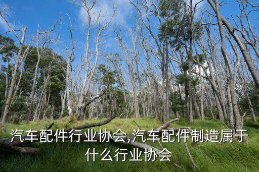 汽车配件行业协会,汽车配件制造属于什么行业协会