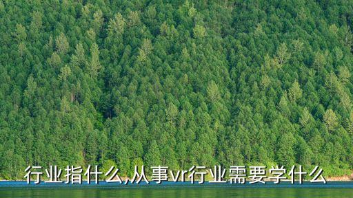 VR行业指什么,从事vr行业需要学什么