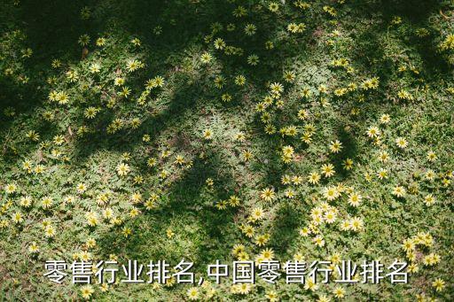 百货零售行业排名,中国零售行业排名