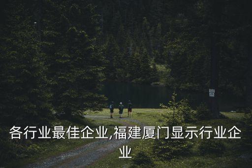 厦门各行业最佳企业,福建厦门显示行业企业