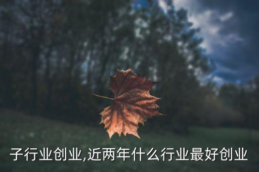 子行业创业,近两年什么行业最好创业