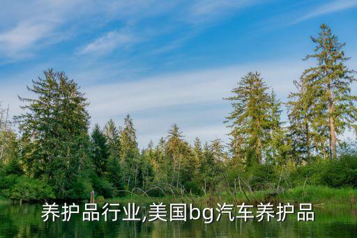 汽车养护品行业,美国bg汽车养护品