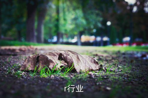 r行业