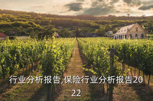 转子行业分析报告,保险行业分析报告2022