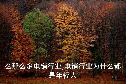 么那么多电销行业,电销行业为什么都是年轻人