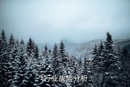 t行业战势分析