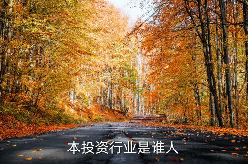 纯资本投资行业是谁人
