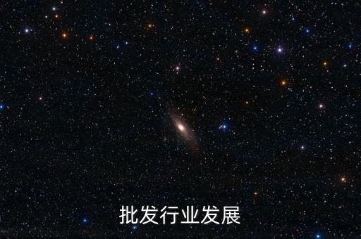 批发行业发展