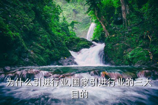 为什么引进行业,国家引进行业的三大目的